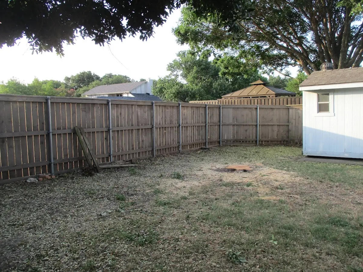 Cleared yard after professional tree removal in Elbow Lake